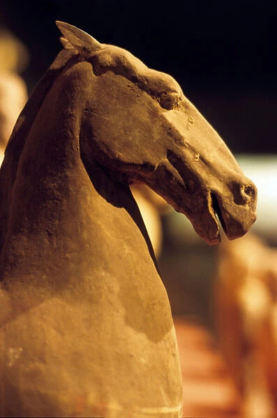 Horse head, small army, 206 BC-8 AD (terracotta)
