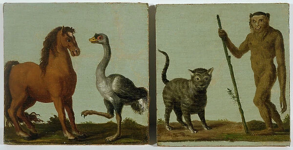 A horse and ostrich and a wildcat and wild man (oil on canvas laid down on board)