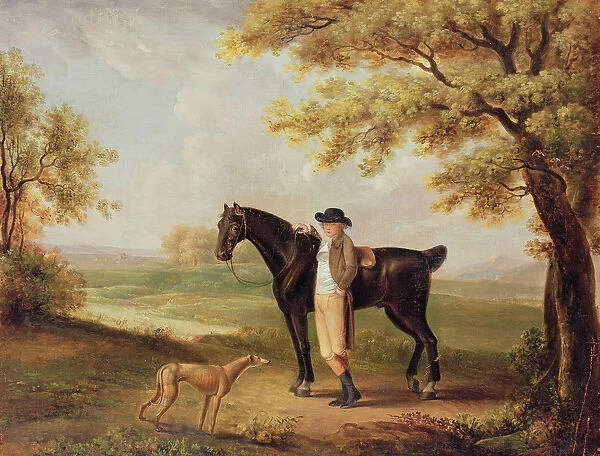 Horse, rider and whippet