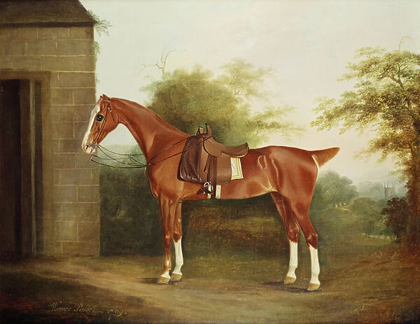 Horse with side saddle