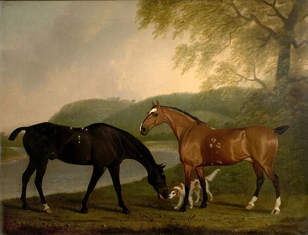 Horses and Dog in a Landscape, c. 1830 (oil on canvas)