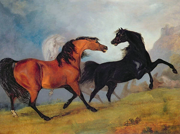 Horses fighting (oil on canvas)