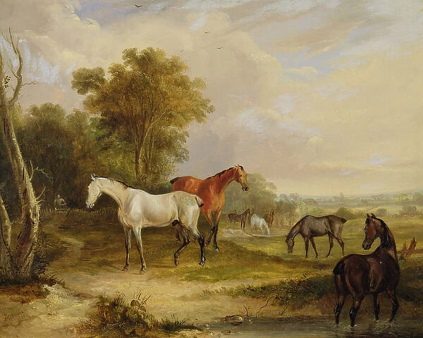 Horses Grazing: A Grey Stallion grazing with Mares in a Meadow (oil on canvas)