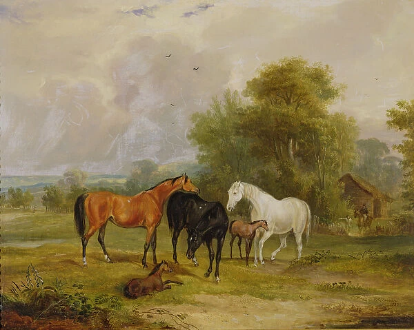 Horses Grazing: Mares and Foals in a Field (oil on canvas)