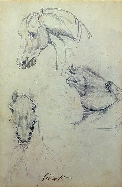 Three horses' heads (pencil)