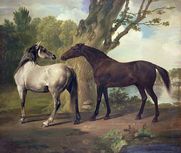 Two Horses in a landscape (oil)
