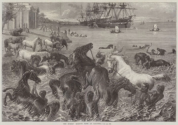 The Horses Morning Bath at Calcutta (engraving)