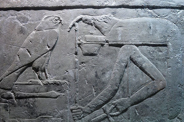 Horus, Kom Ombo Temple (relief)