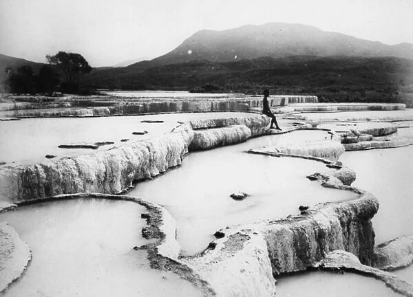 The Hot Water Basins & White Terraces, c. 1880s (b  /  w photo)
