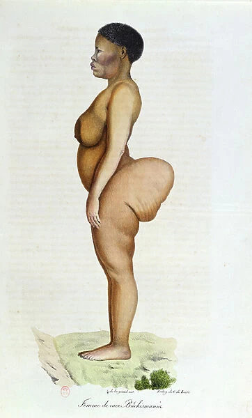 The Hottentot Venus, Bushman woman, from L Histoire Naturelle des Mammiferes