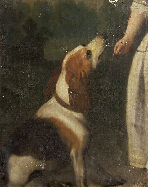A Hound (oil on canvas)