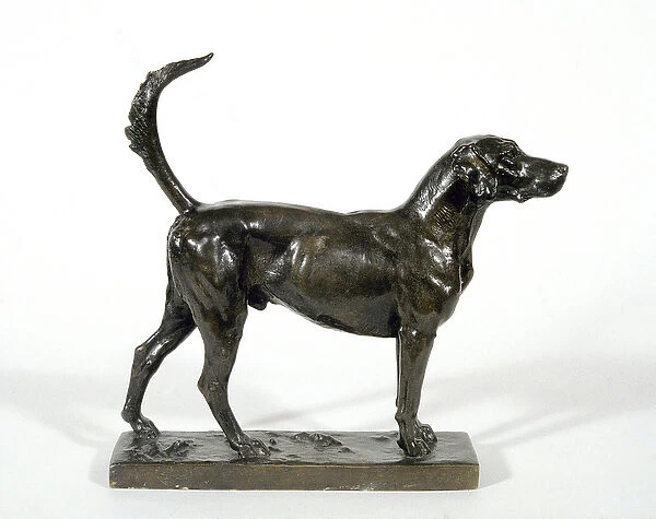 The Hound Pytchley Forager, 1893 (bronze)