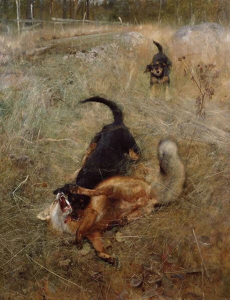 Hounds and fox, 1885