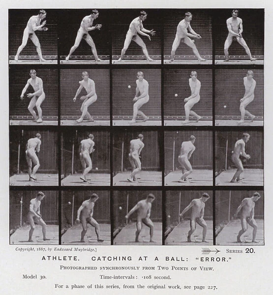 The Human Figure in Motion: Athlete, catching at a ball, 'error'(b  /  w photo)