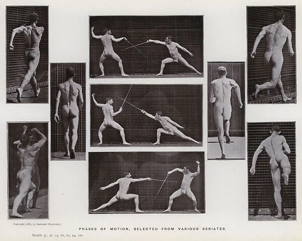 The Human Figure in Motion: Phases of motion, selected from various seriates (b  /  w photo)