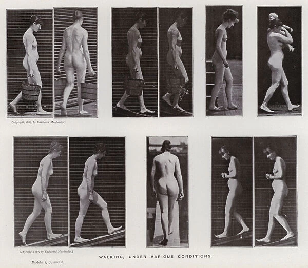 The Human Figure in Motion: Walking, under various conditions (b  /  w photo)