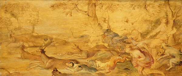The Hunt of Diana
