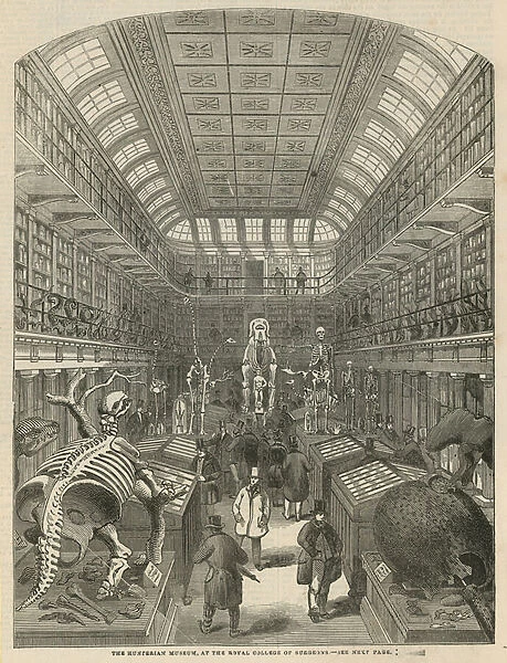 The Hunterian Museum at the Royal College of Surgeons (engraving)