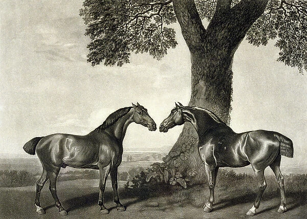Two Hunters, engraved by G. T. Stubbs (bap. 1748-c. 1815) (litho) (see also 266802)