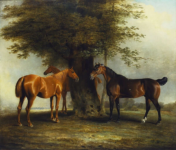 Hunters at Grass, 1801 (oil on canvas)