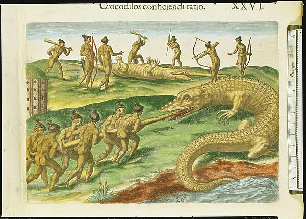 Hunting Crocodiles, from Brevis Narratio, engraved by Theodore de Bry (1528-98) 1563 (coloured engraving) (detail of 180138)