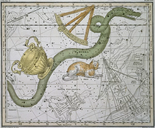 Hydra, from A Celestial Atlas, pub. in 1822 (coloured engraving)