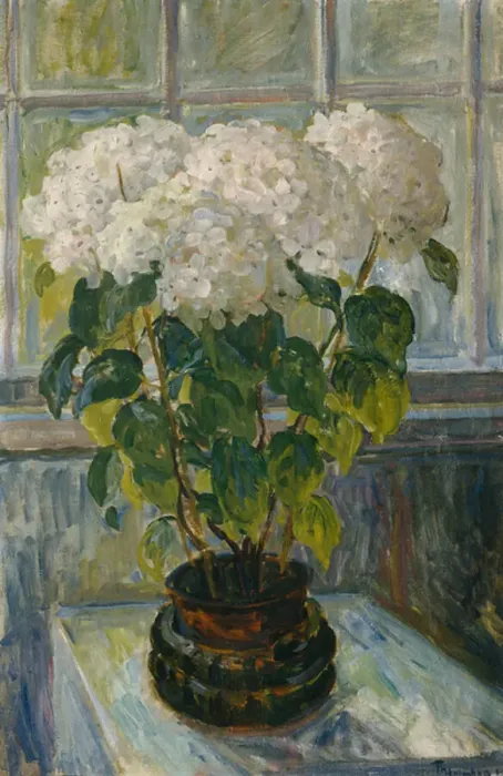 Framed Print : Hydrangea, 1911 Framed Print : Hydrangea, 1911