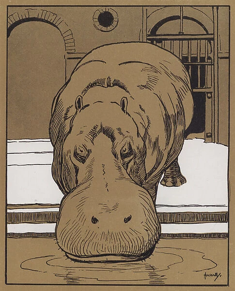 'I cannot bring myself to believe that this is a very witty animal'(colour litho)