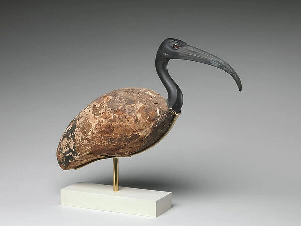 Ibis (painted wood and bronze, glass eyes)