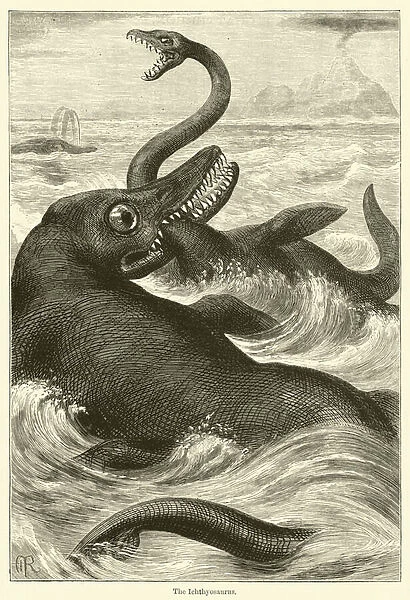 The Ichthyosaurus (engraving)