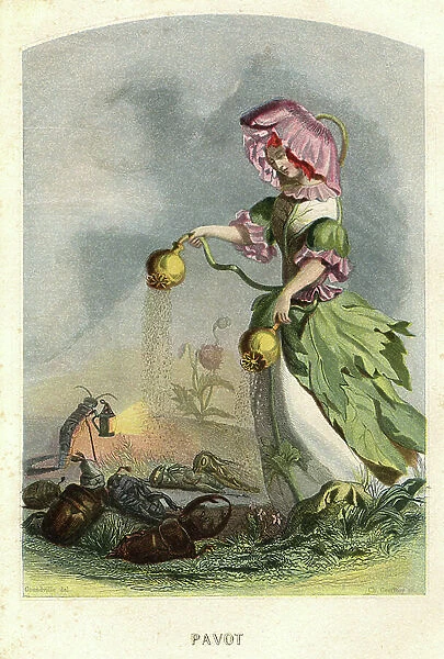 Illustration for Les Fleurs Animees, 1857 (engraving)