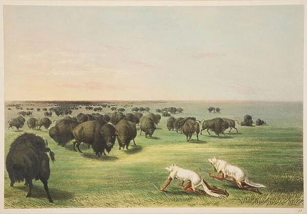 Indians hunting the buffalo under a wolf-skin mask, from
