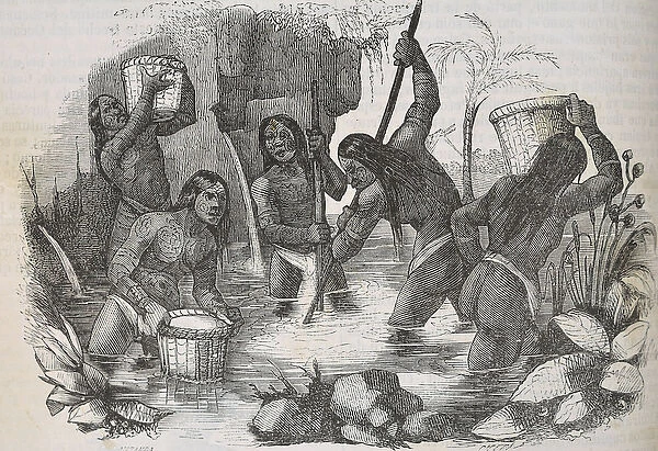 Indians from Island of Hispaniola panning for gold, 1851 (engraving)