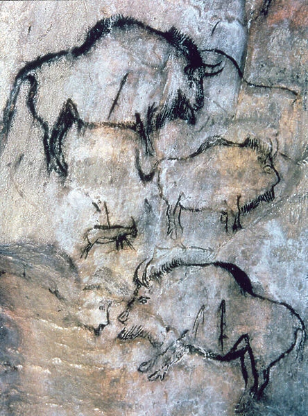 Injured Bison, Magdalenian (cave painting)