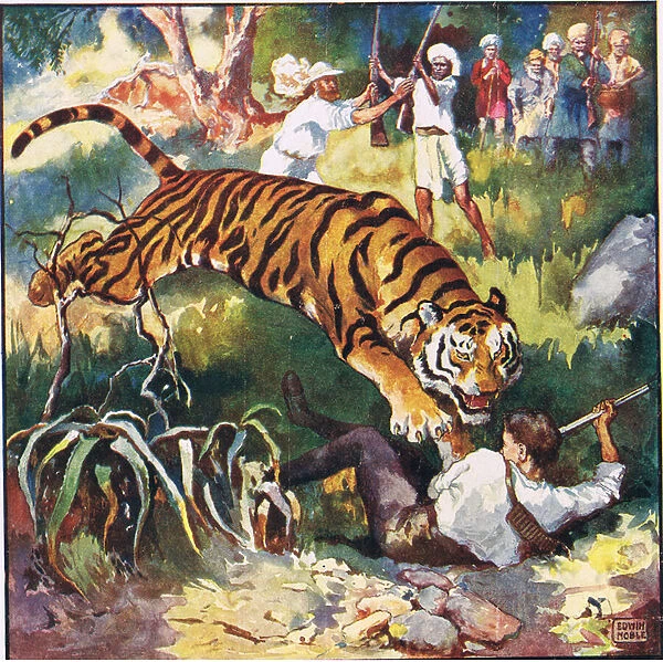 The next instant I saw him falling backwards under the tigress (colour litho)