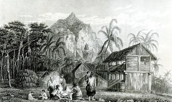 Interior of Pitcairn Island, 1831 (engraving) (b  /  w photo)