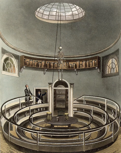 Interior of the Theatre of Anatomy, Cambridge, from The History of Cambridge