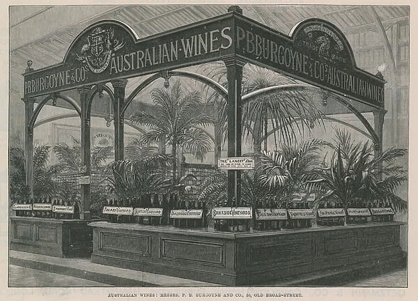 The International Health Exhibition: Australian Wines (engraving)