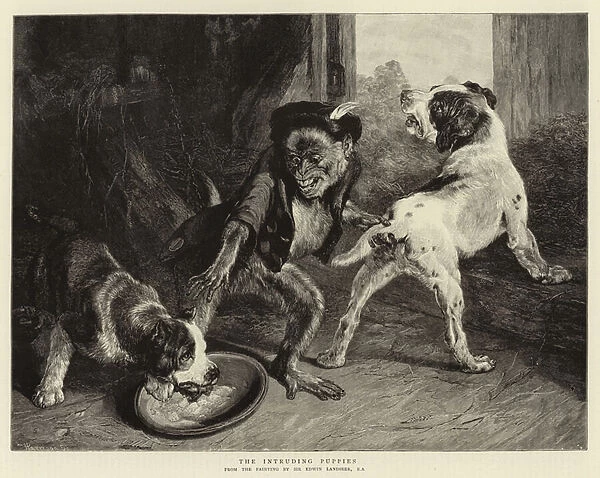 The Intruding Puppies (engraving)