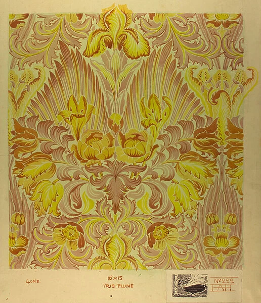 Iris Plume No 222, c. 1895 (gouache on paper)
