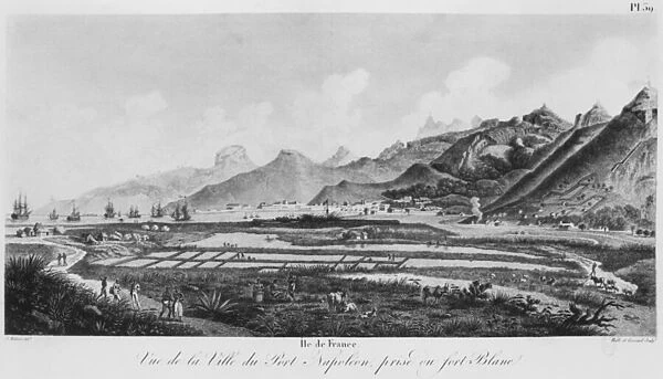 Island of France (Mauritius), view of Port-Napoleon (b / w engraving)