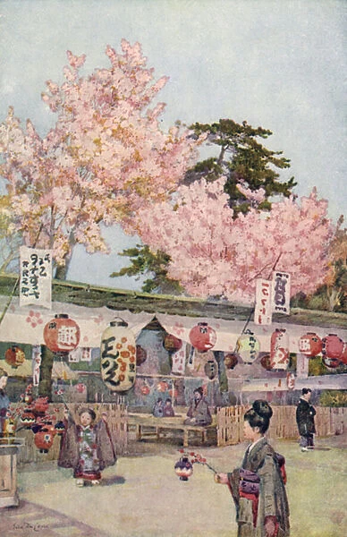 Japanese feast of cherry blossom (colour litho)