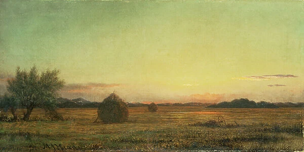 Jersey Meadows (oil on canvas)