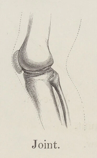 Joint (engraving)