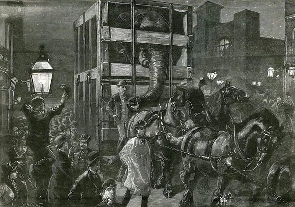 Jumbos Journey to the Docks (engraving)