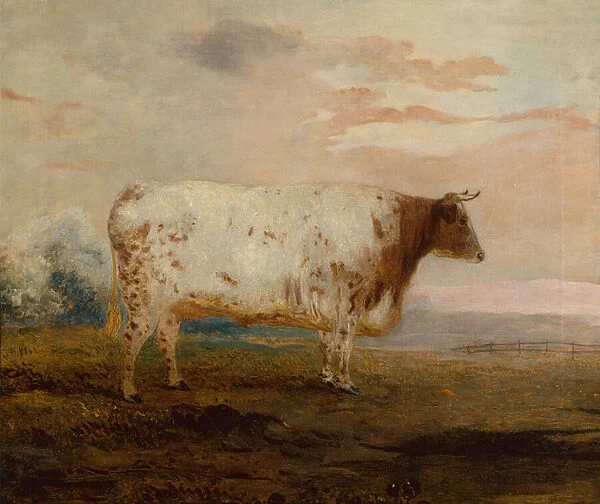 Juno, A Red Short Horn Cow in an Extensive Landscape (oil)