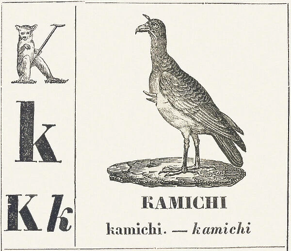 K for Kamichi, 1850 (engraving)