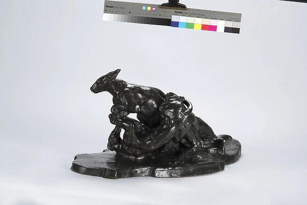Kangaroo and Dog, 1905 (bronze)