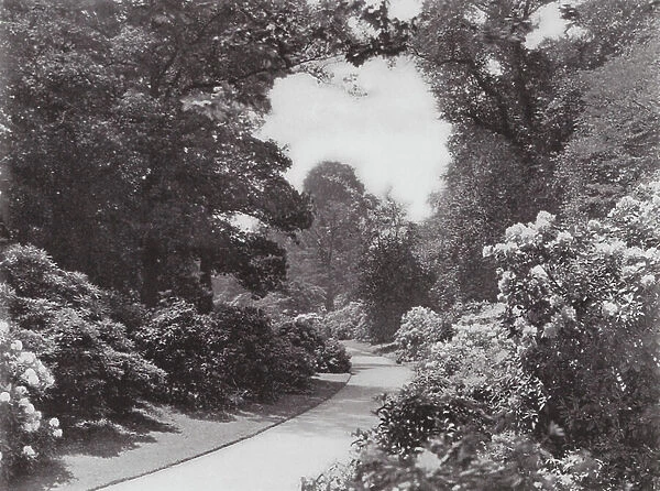 Kew Gardens, c.1900 (b / w photo)