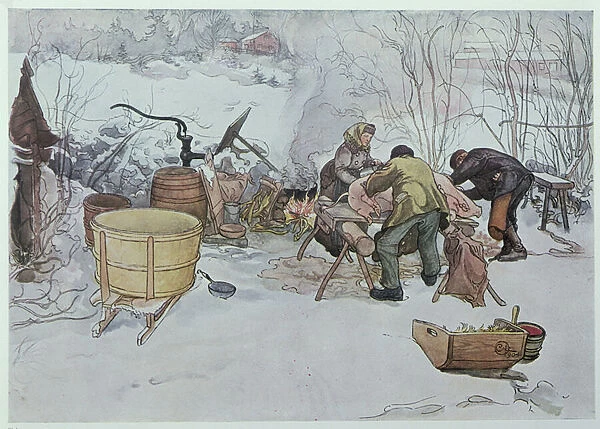Killing the Pig, illustration for My Little Farm, published in Sweden, 1904 (colour litho)